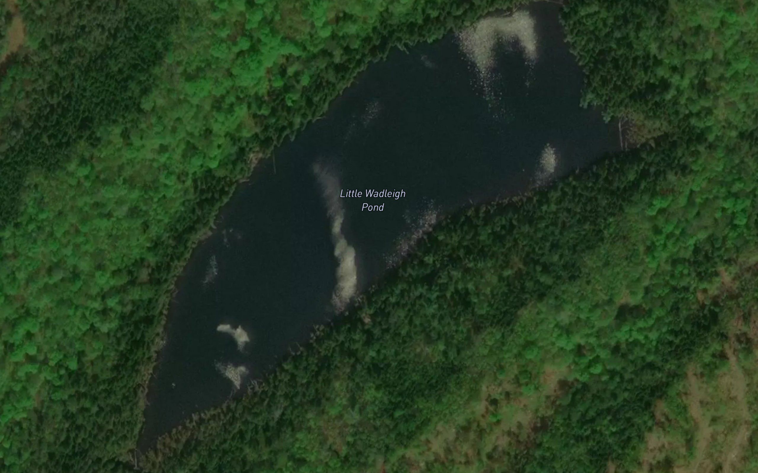 Little Wadleigh Pond