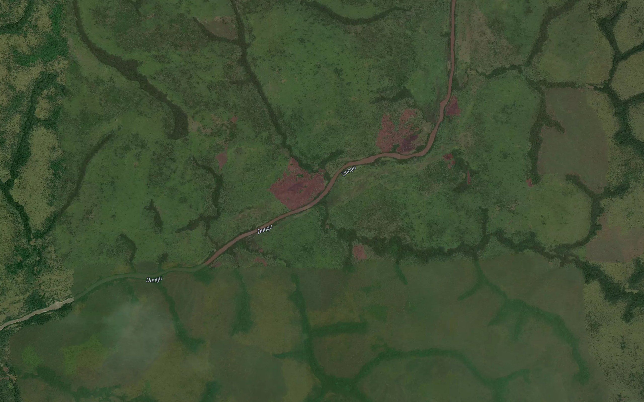 Gangu