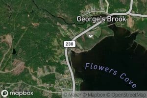 Flowers Cove