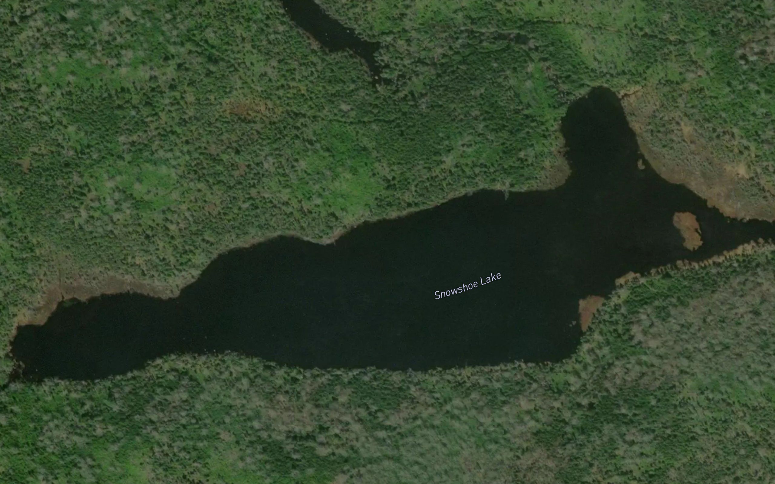 Snowshoe Lake