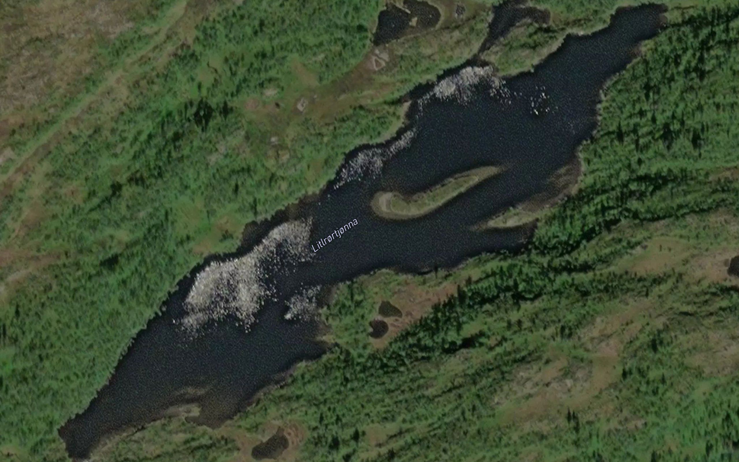 Litlroyrtjorna