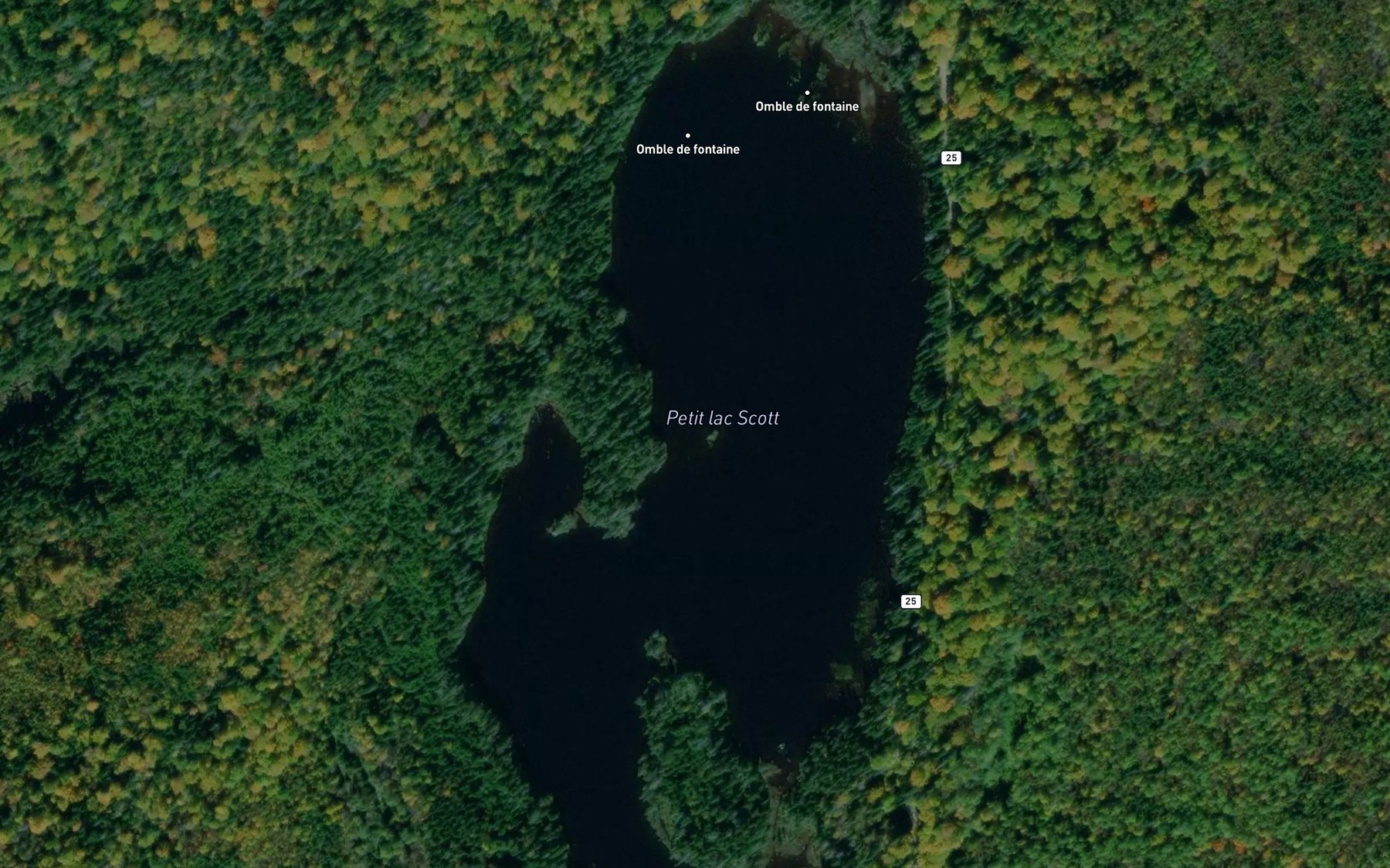 Satellite map of the Petit lac Scott