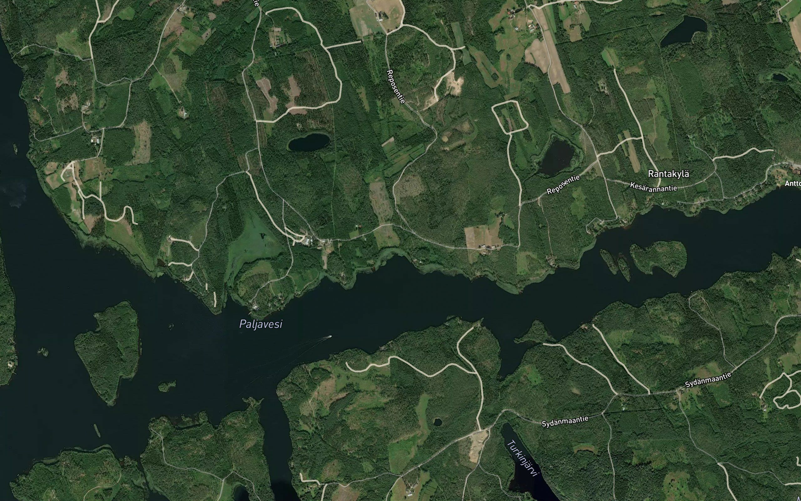 Vitikkaoja