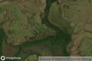 Gajo del Tacuarembo Chico