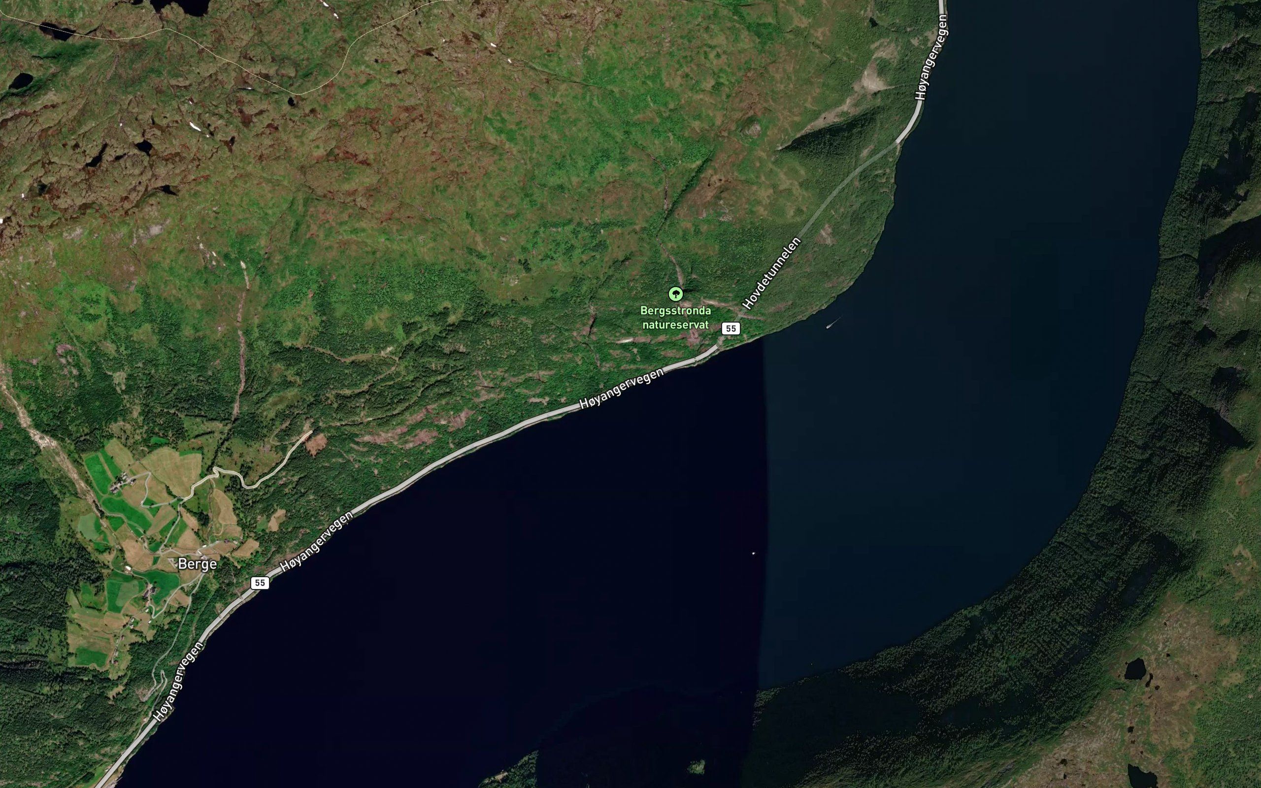 Godvika
