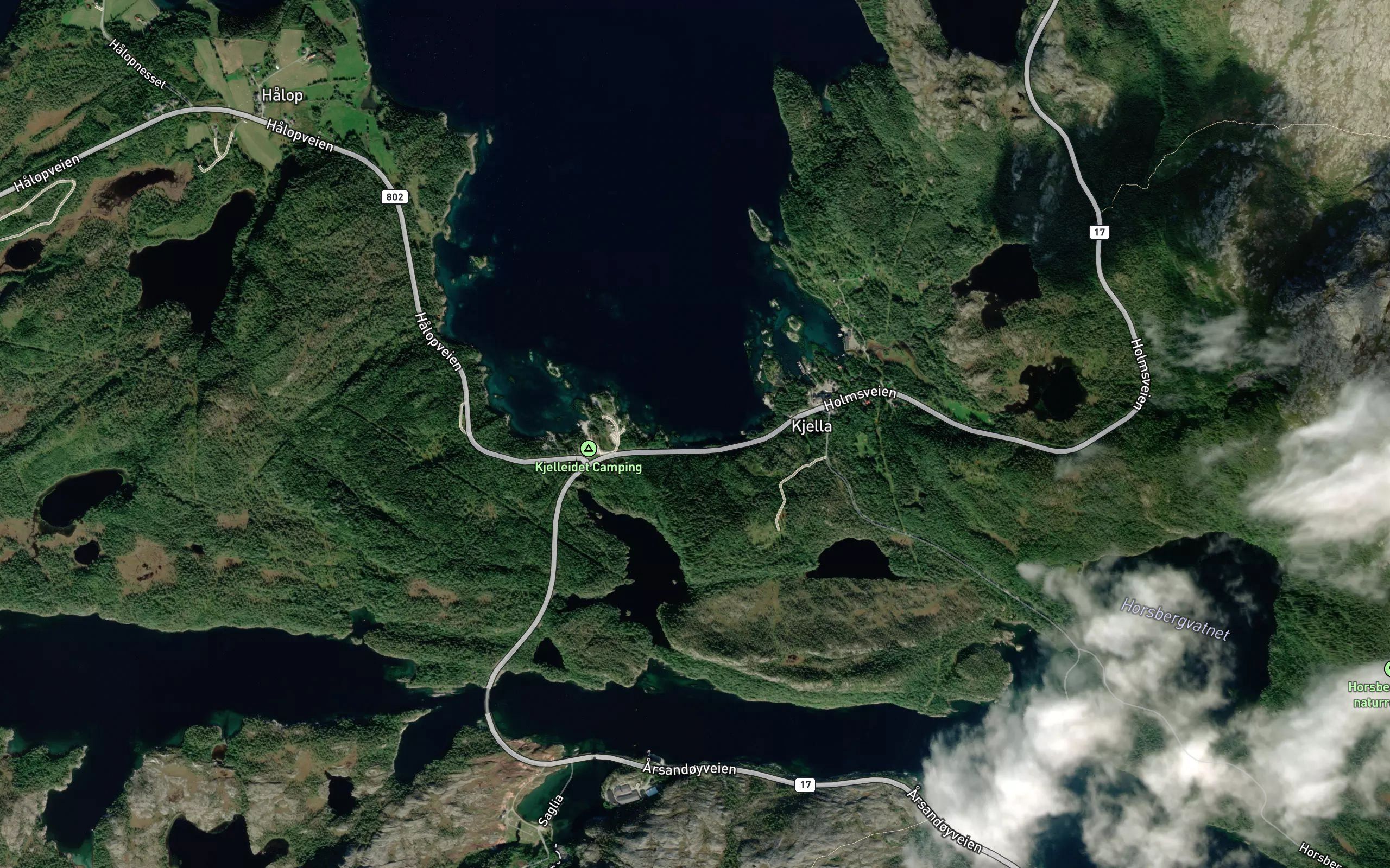 Sneringsvika