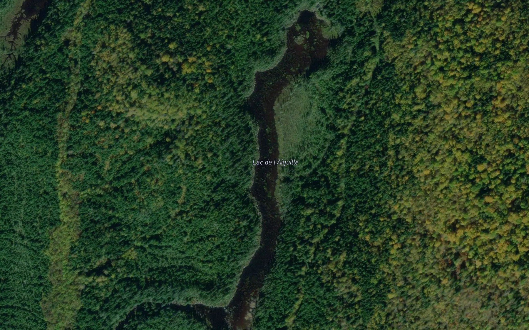 Satellite map of the Lac de l'Aiguille