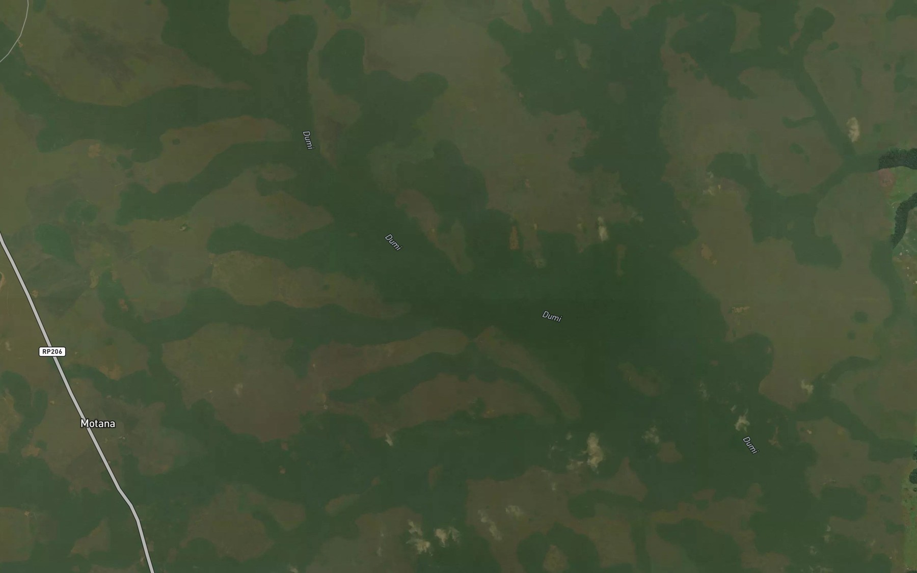 Satellite map of the Mahana