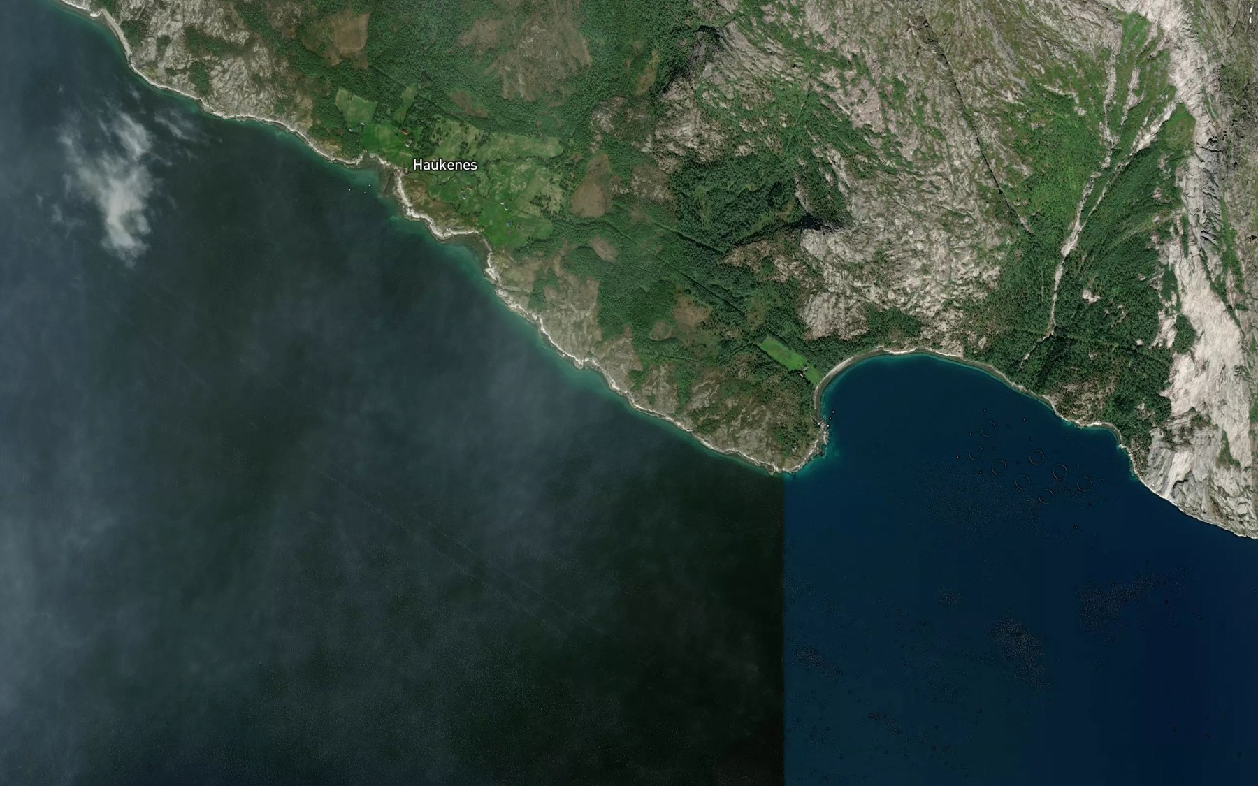 Satellite map of the Salttronvika