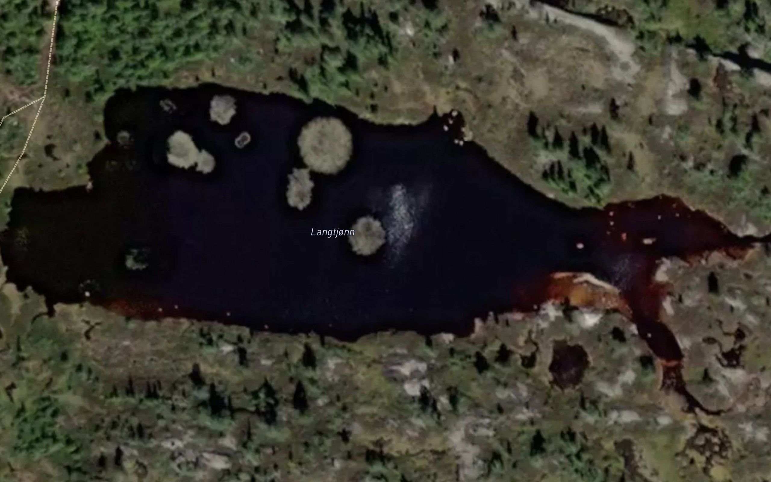 Langtjonn