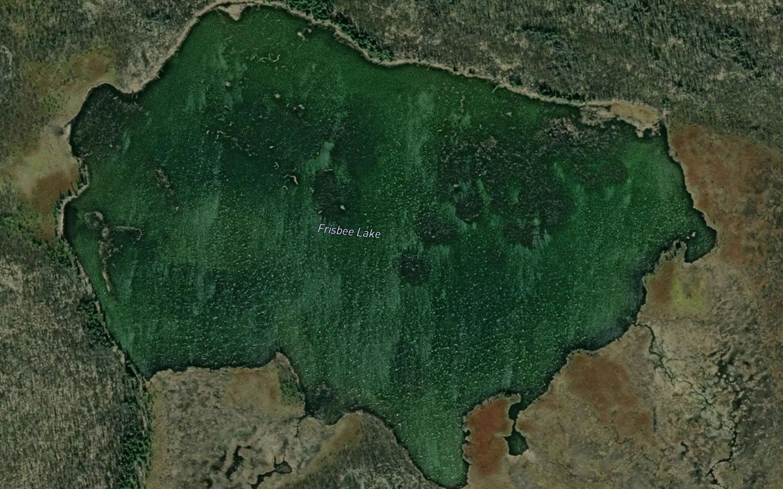 Frisbee Lake