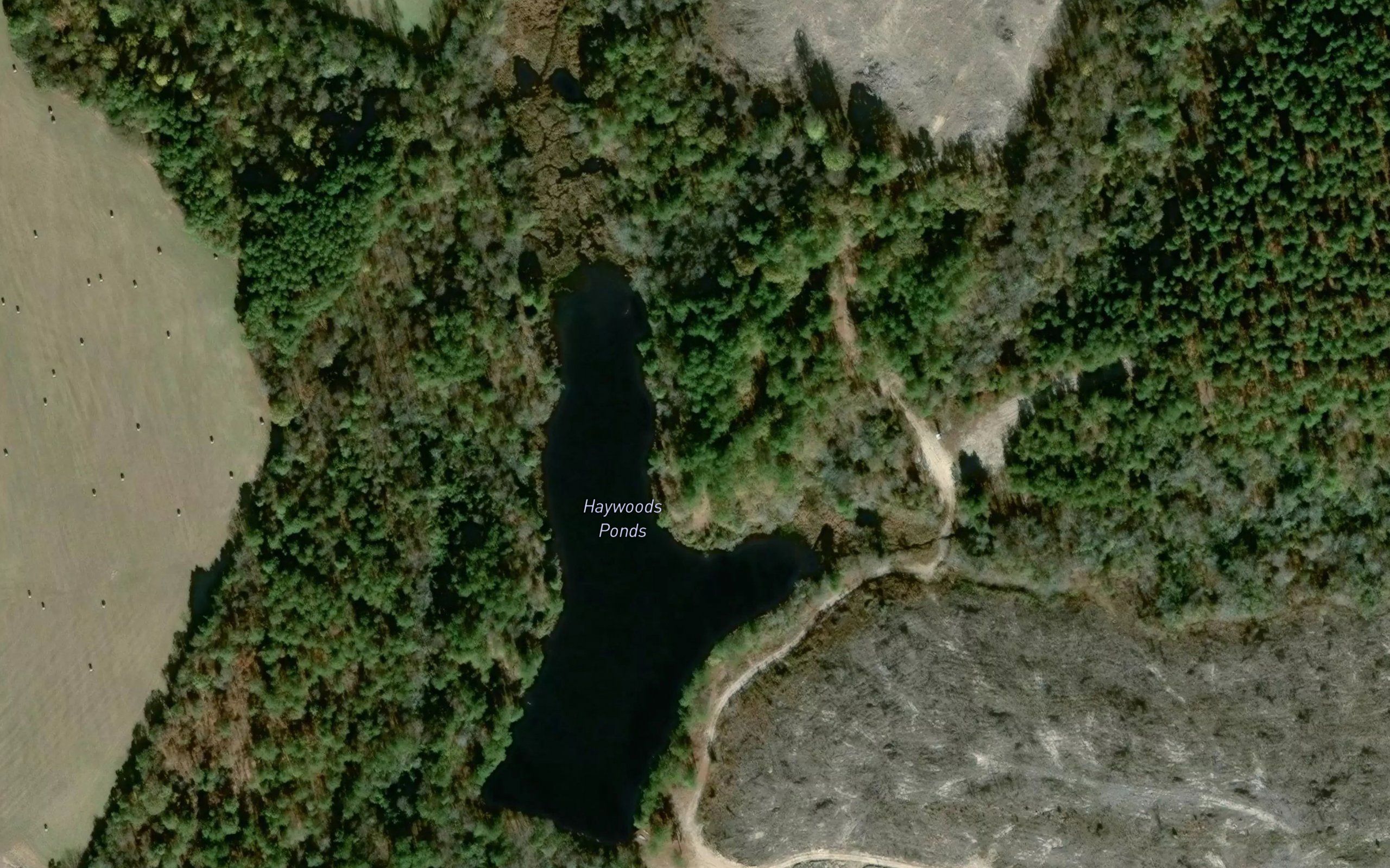 Haywoods Ponds