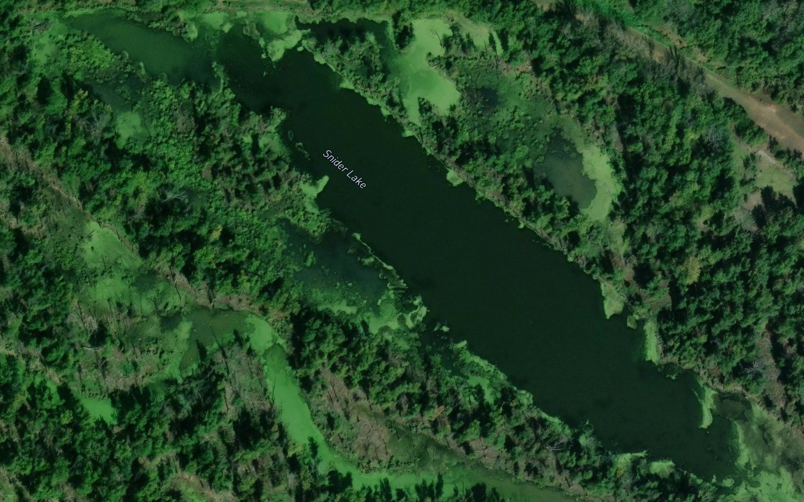Snider Lake