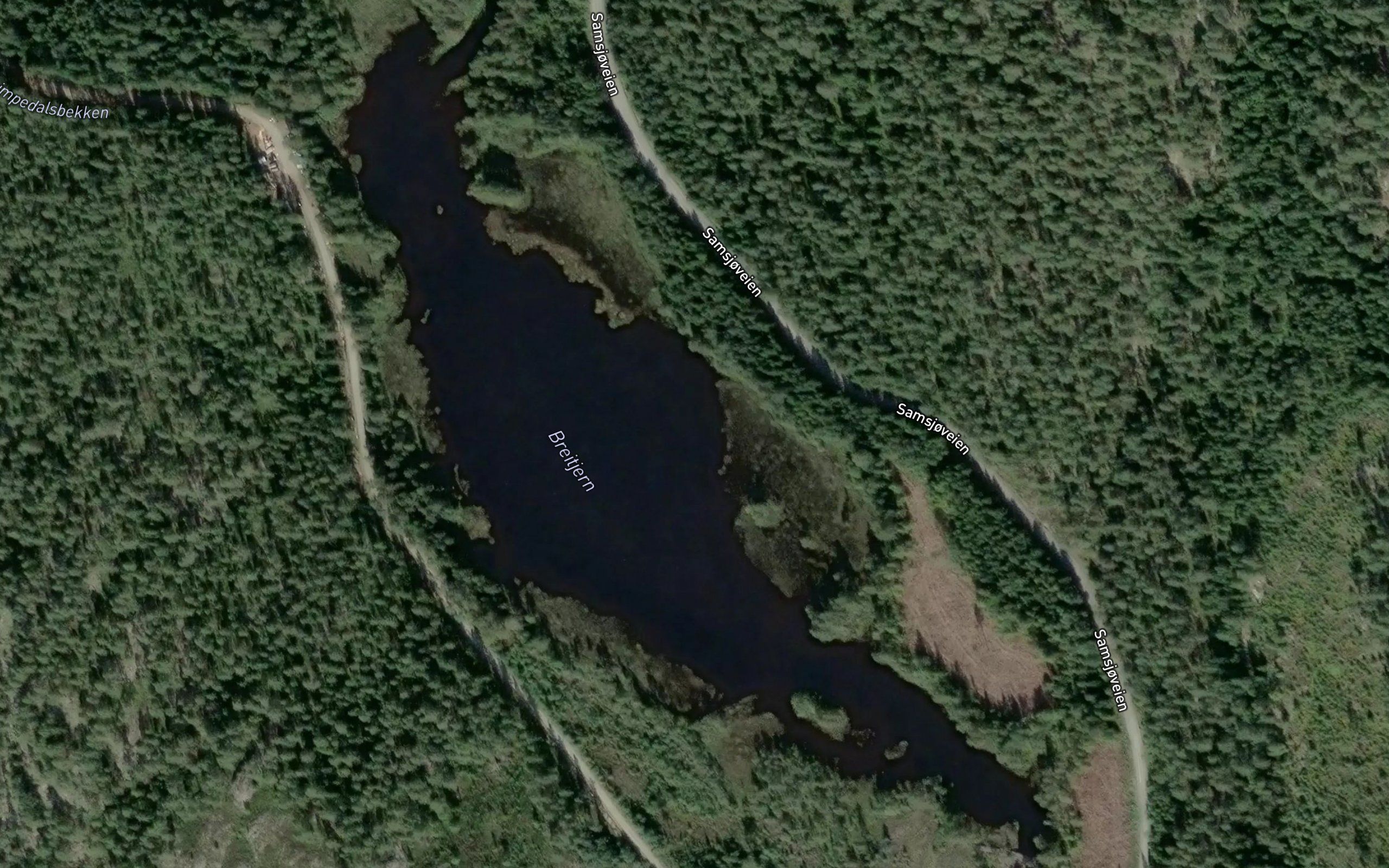 Breidtjern