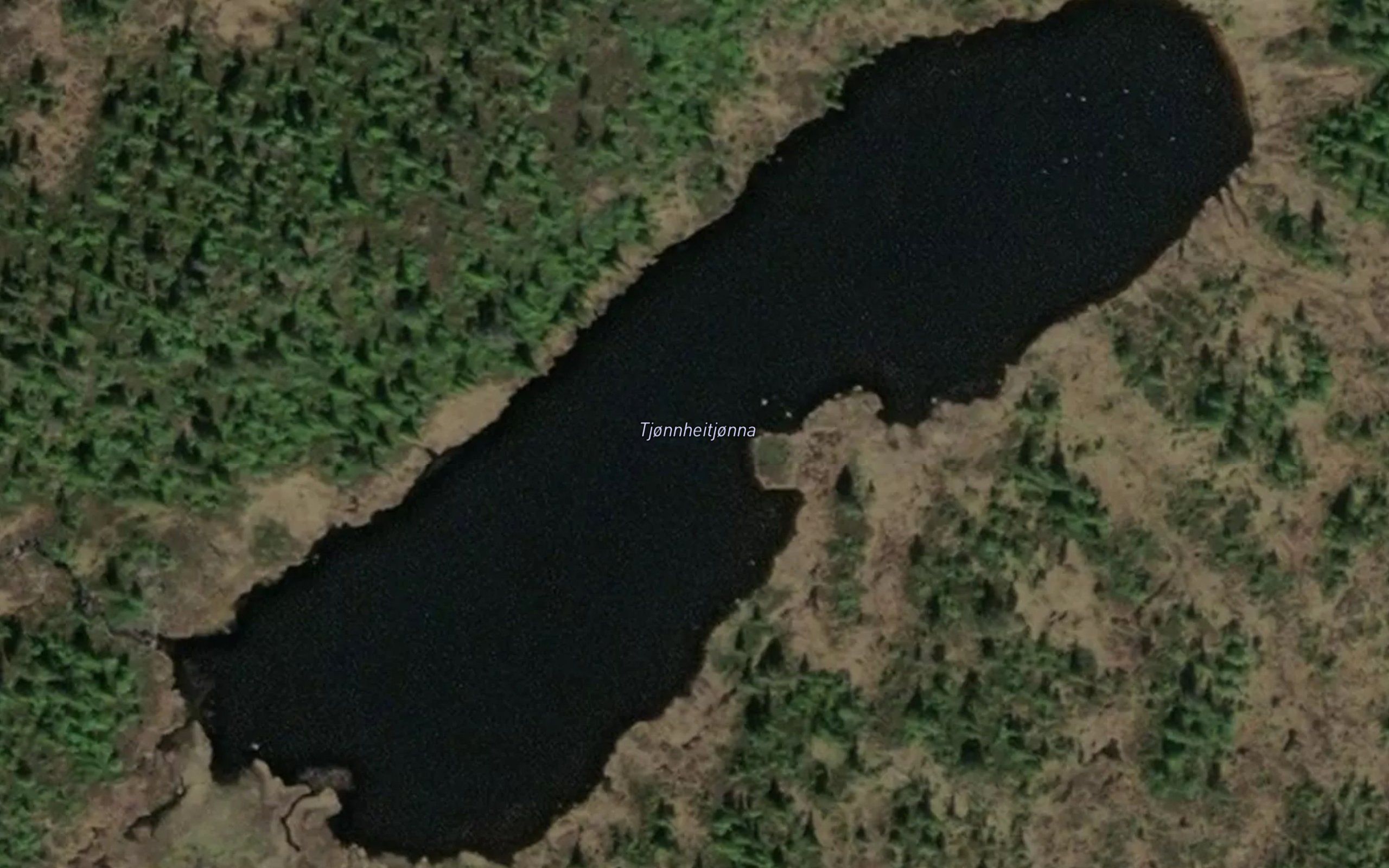 Tjonnheittjonna