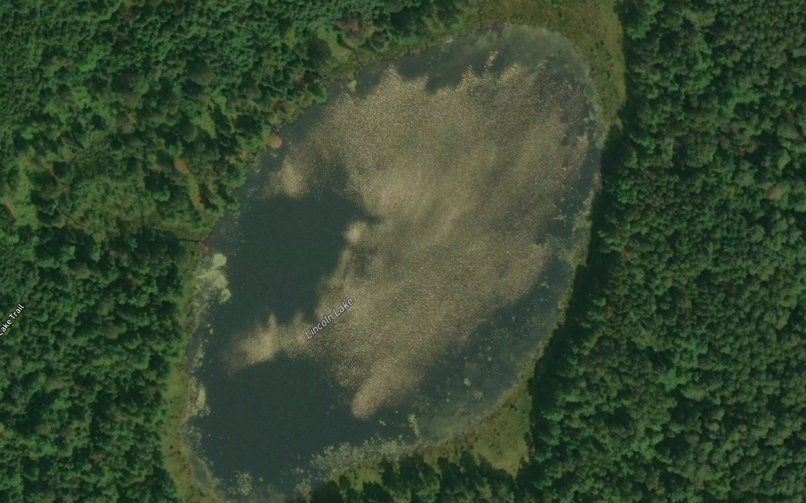 Lincoln Lake