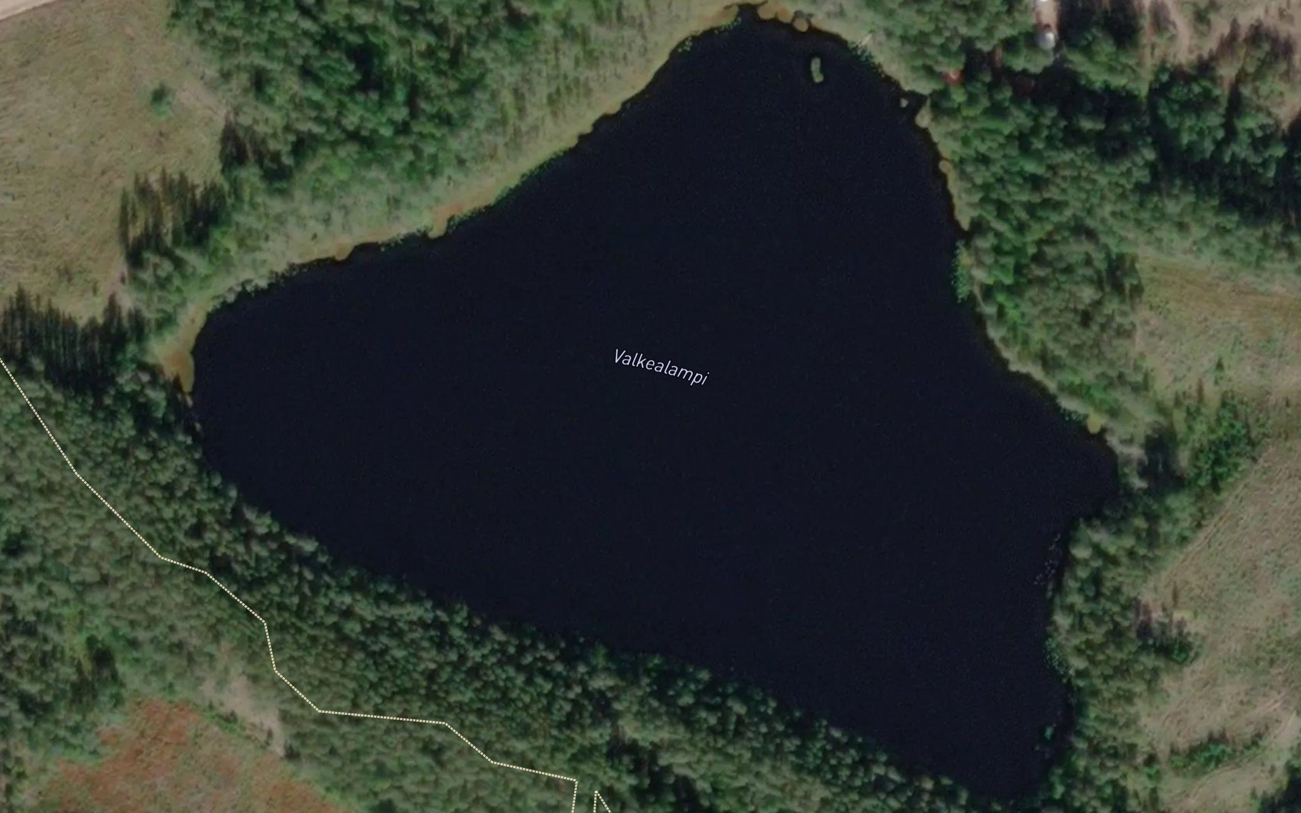 Valkealampi