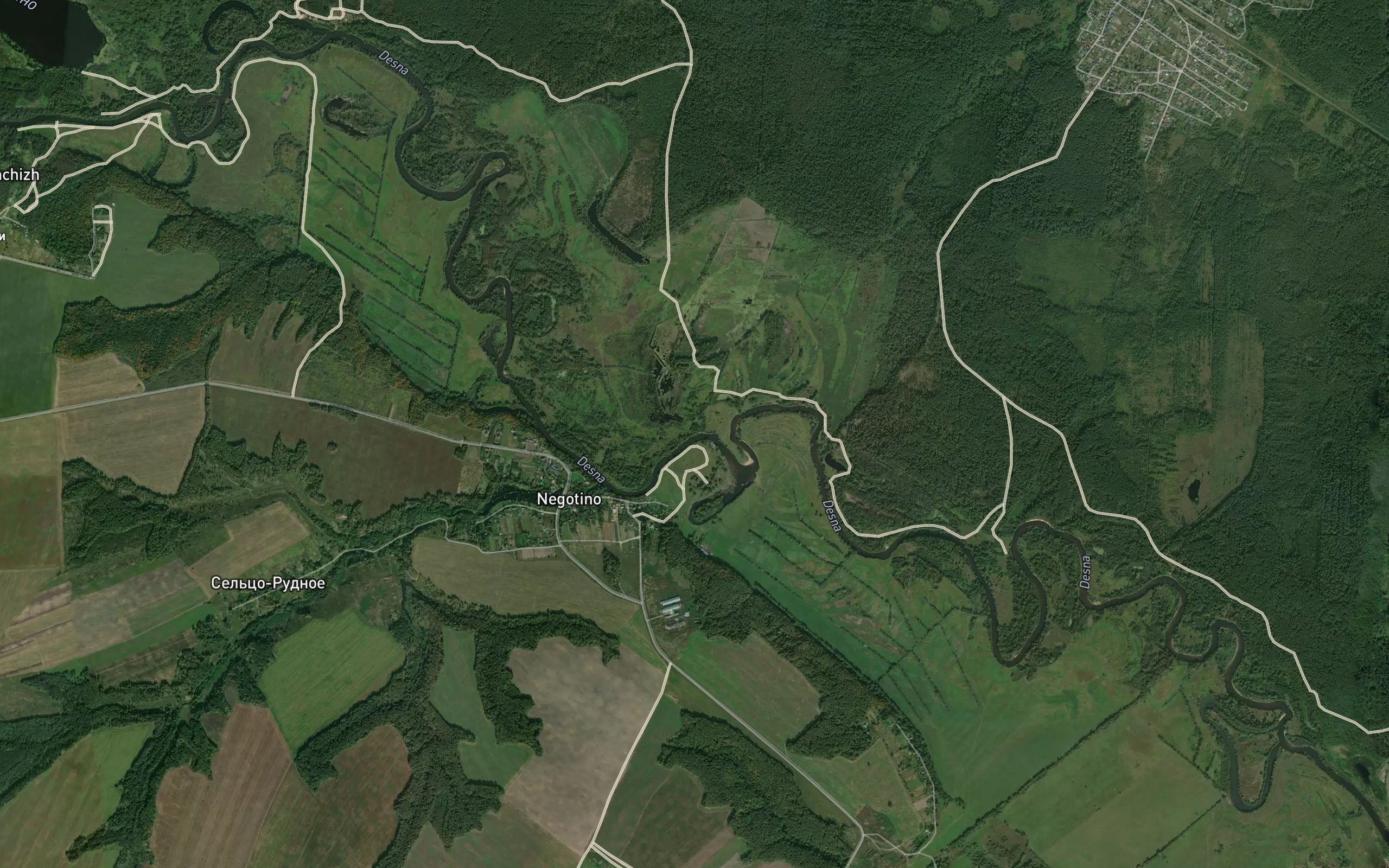 Rzhanitsa
