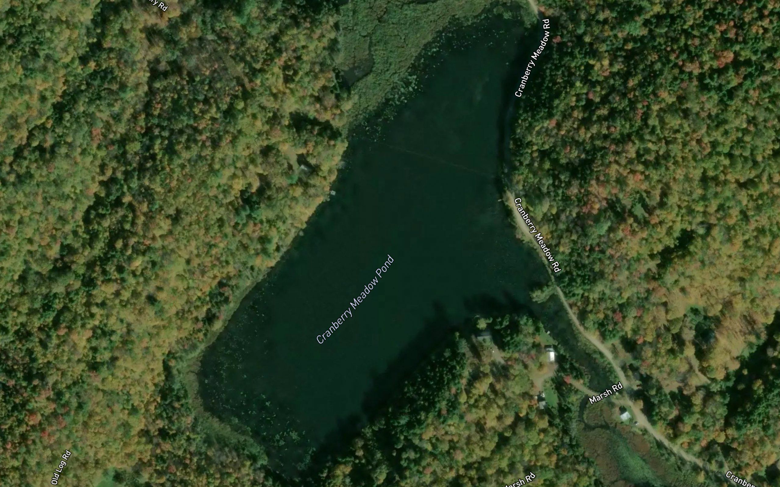 Cranberry Meadow Pond