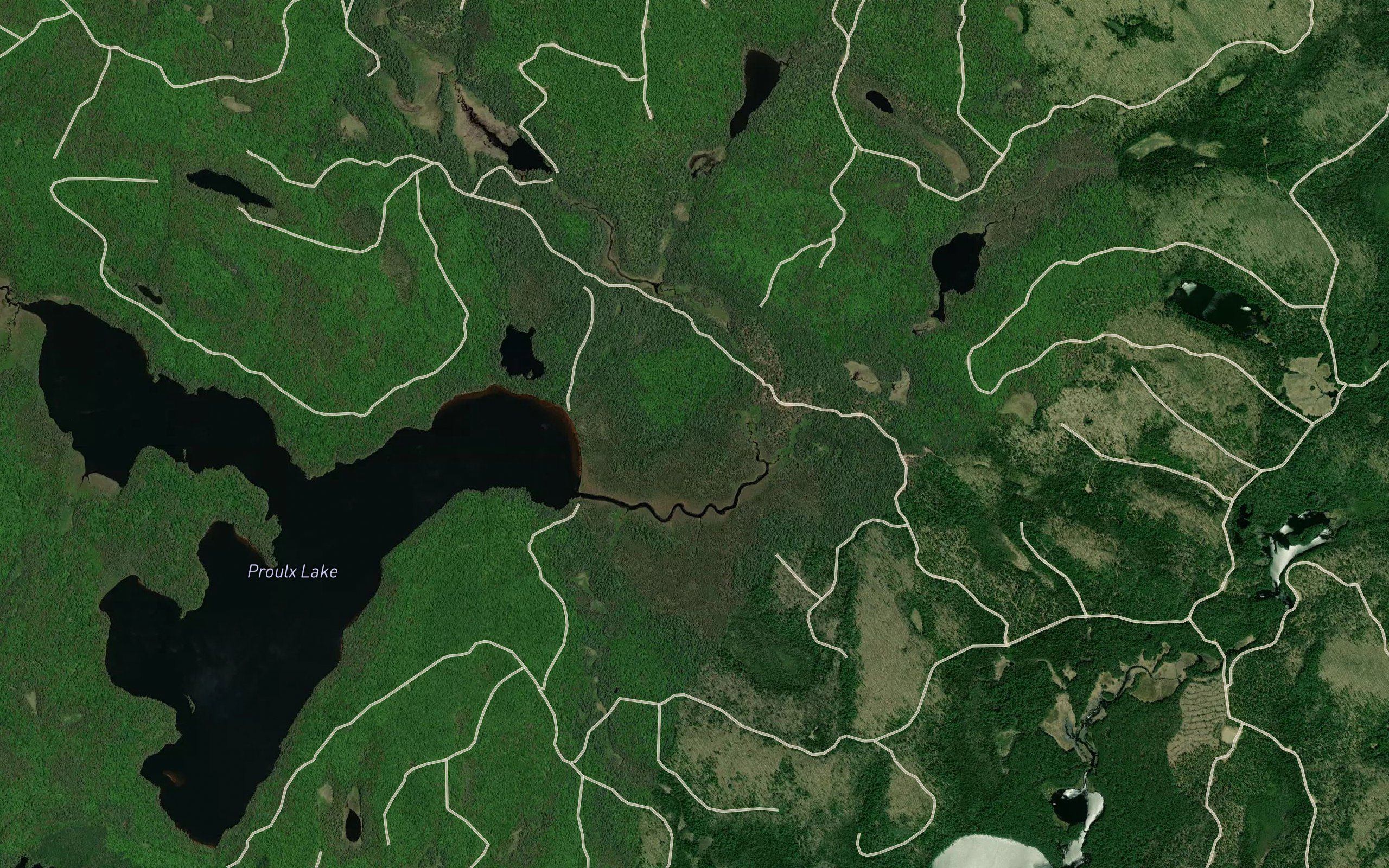 Koko Creek