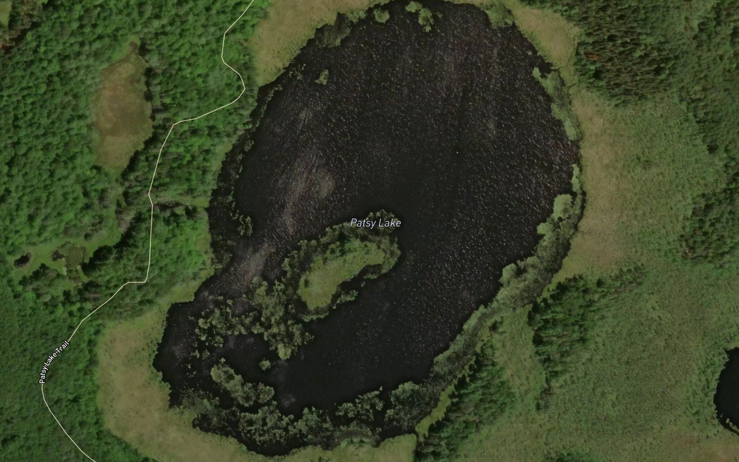 Patsy Lake