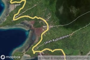 Salu Pempulu