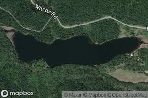 Wilcox Lake