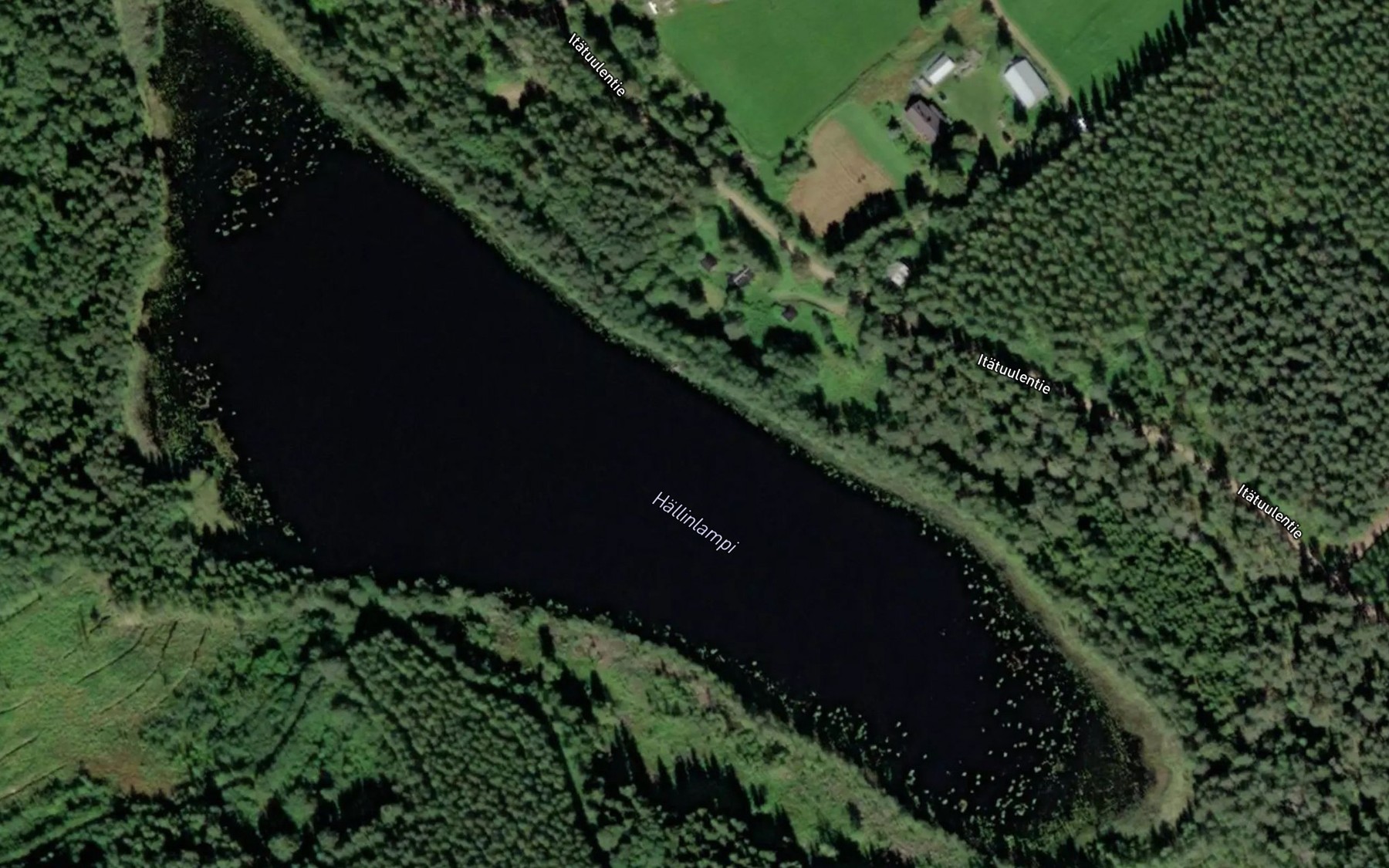 Satellite map of the Hallinlampi