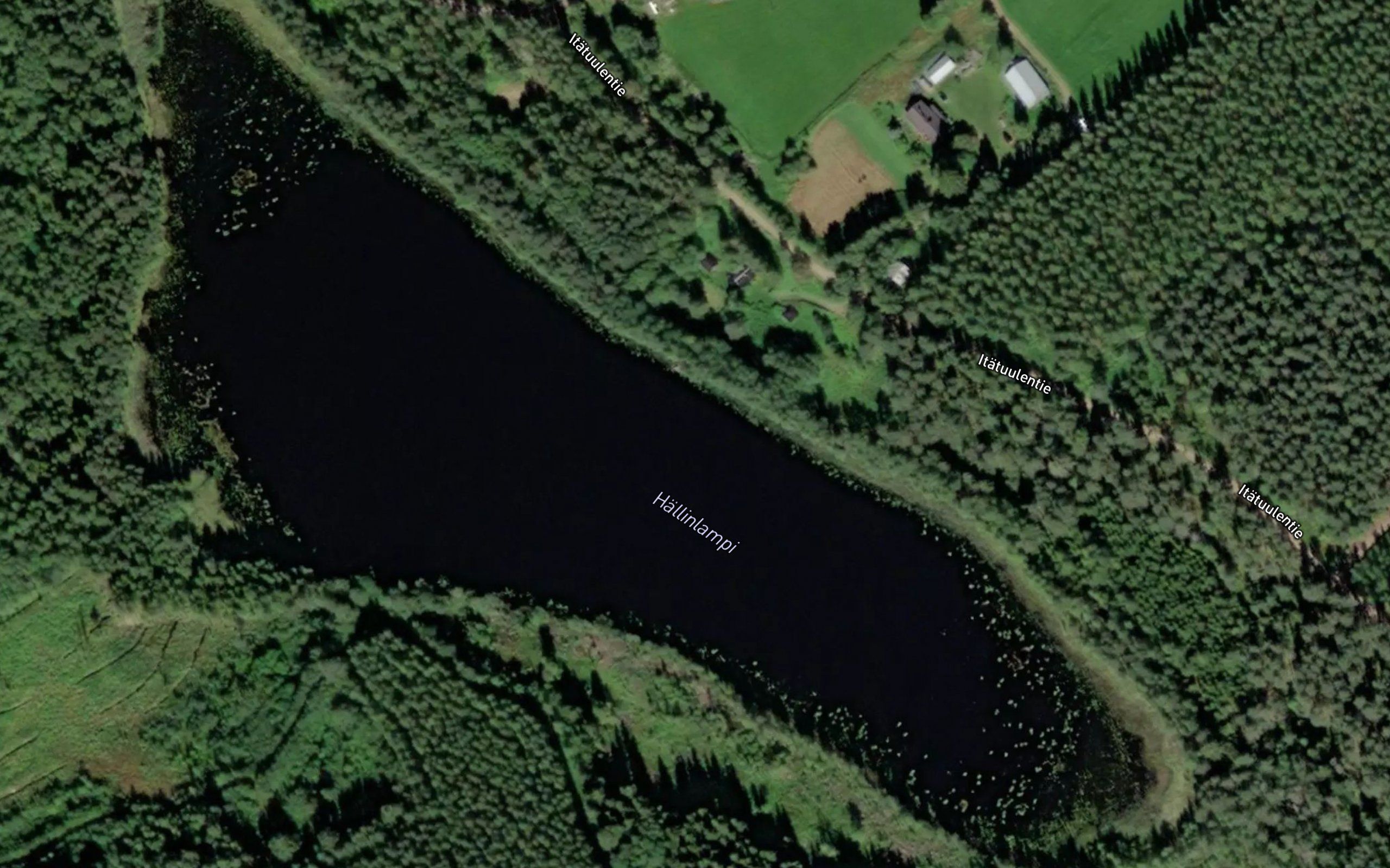 Hallinlampi