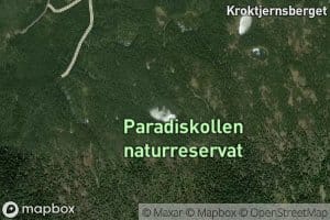 Smellbakktjernet
