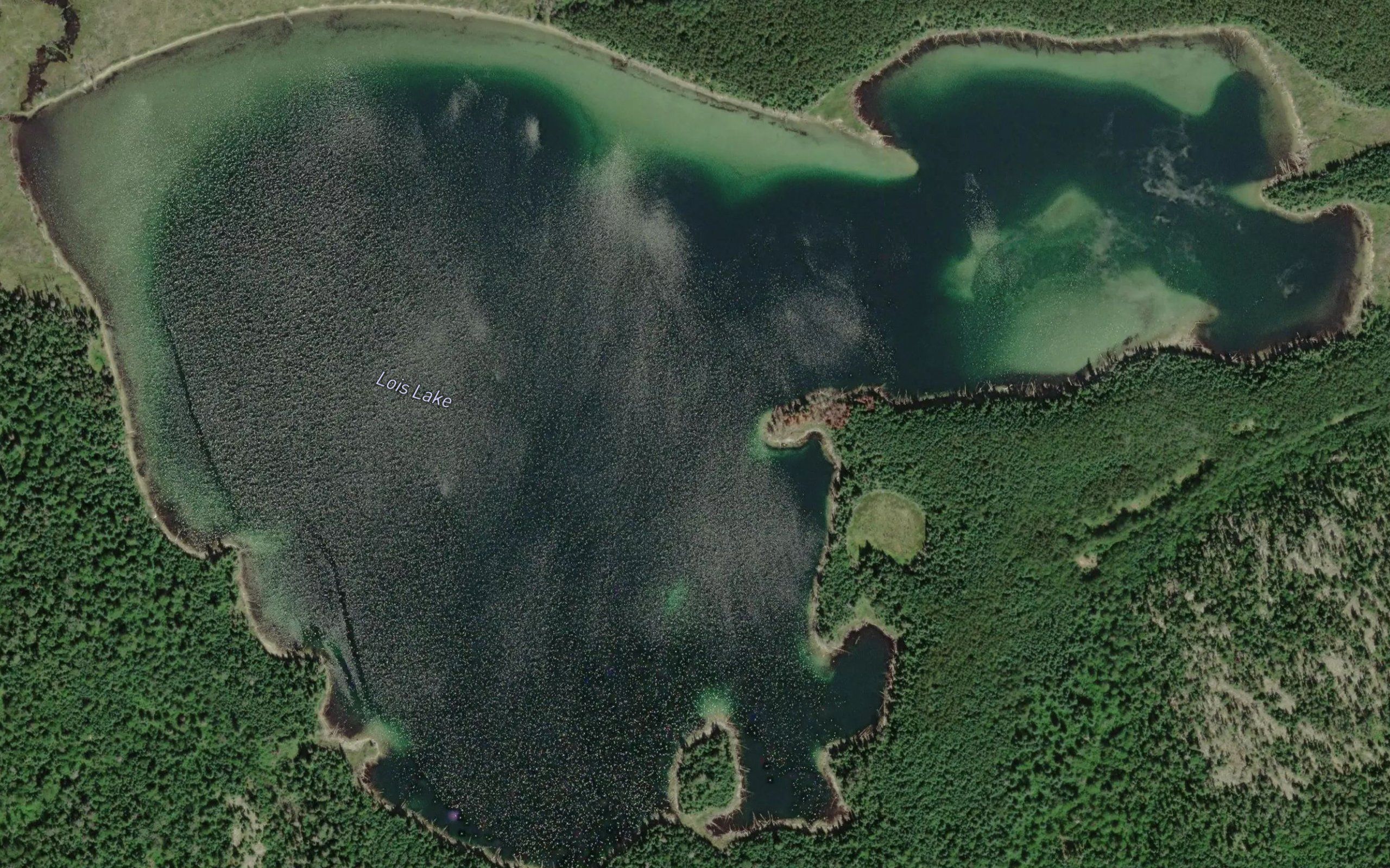 Lois Lake
