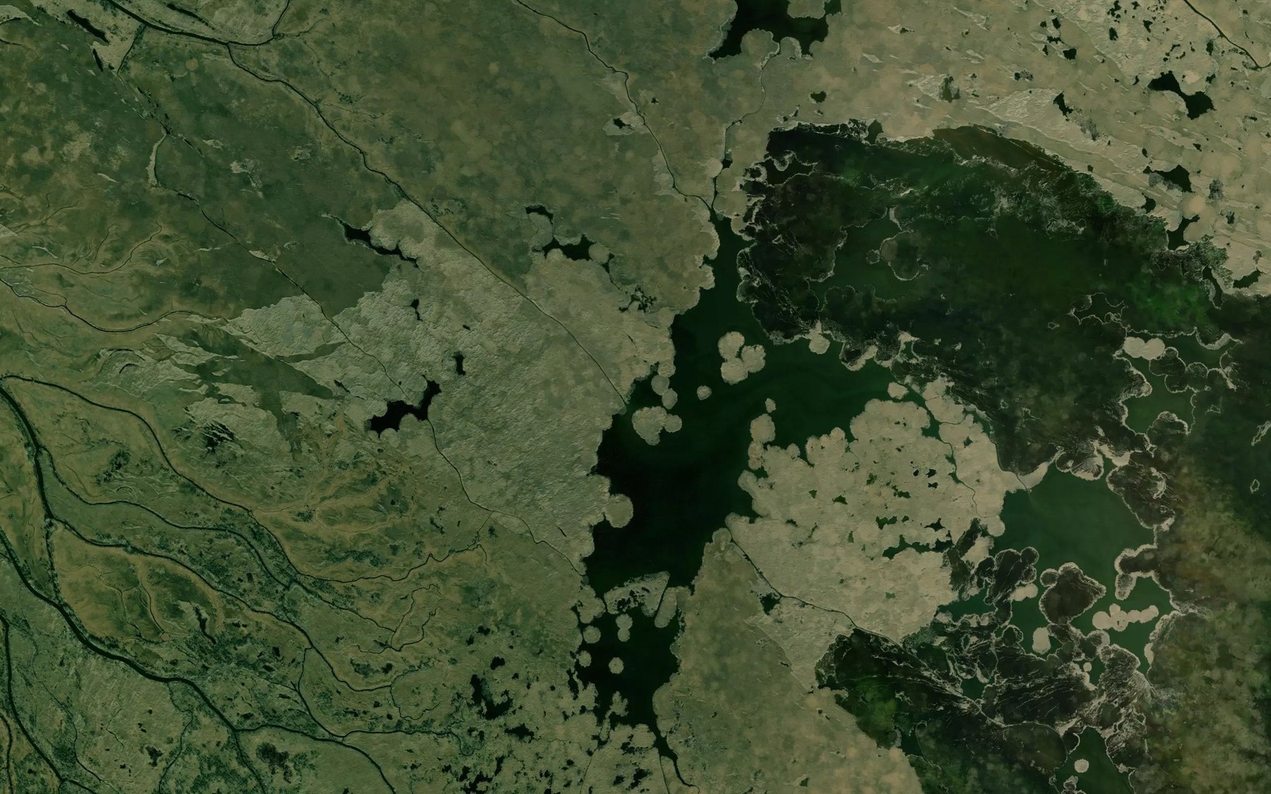 Satellite map of the Gusek