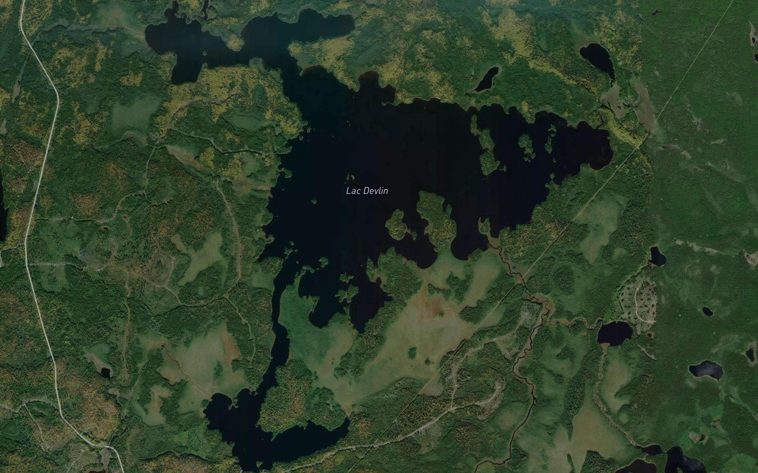 Lac Devlin