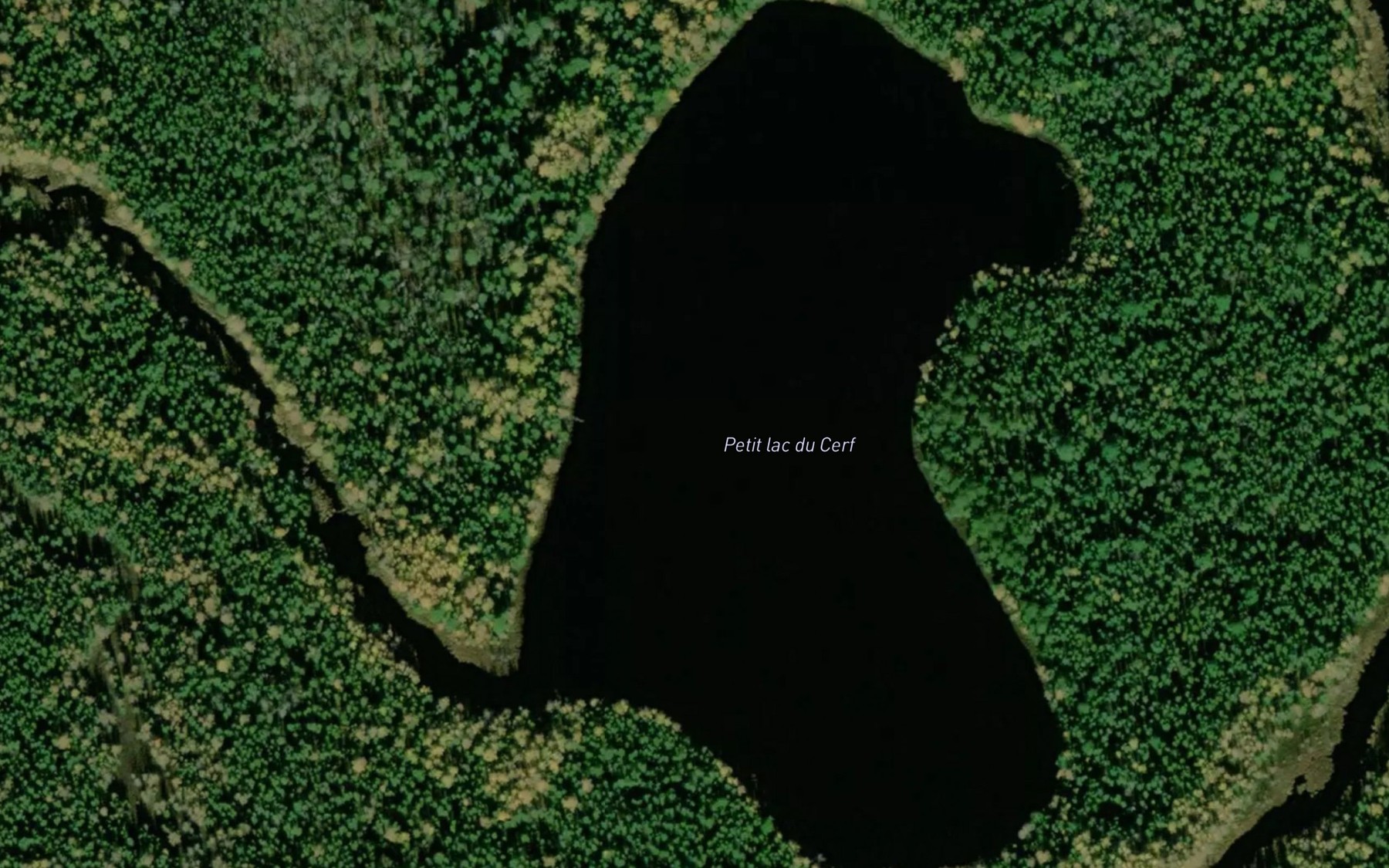 Satellite map of the Petit lac du Cerf