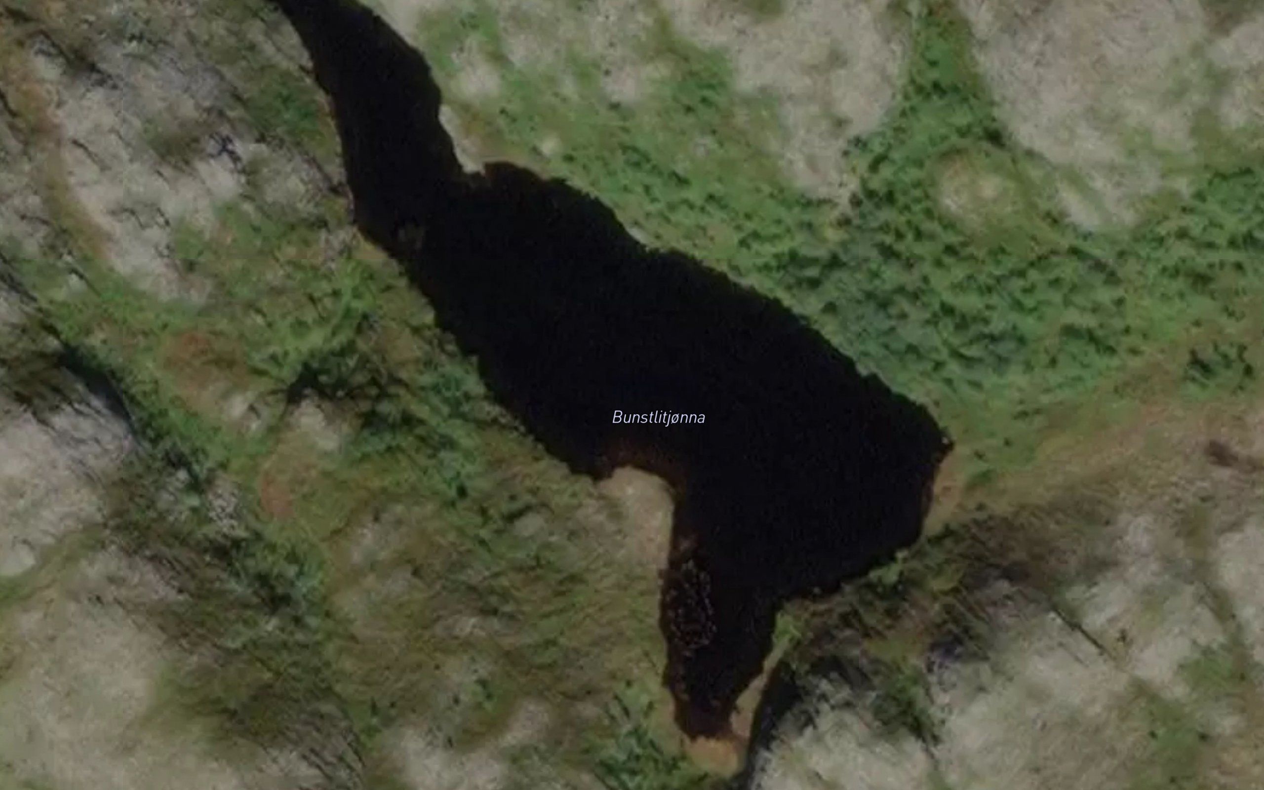 Bunstlitjorna