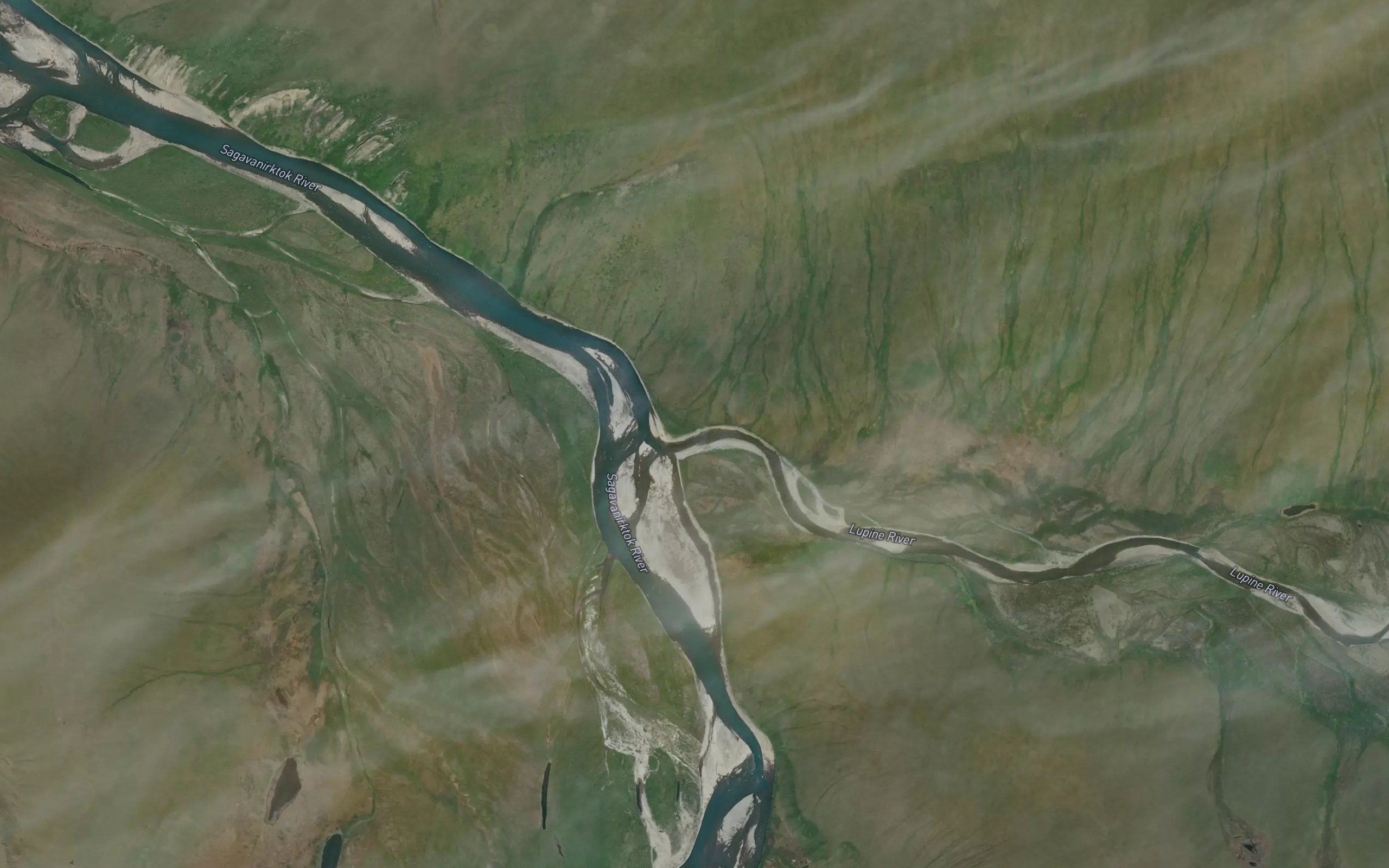 Lupine River