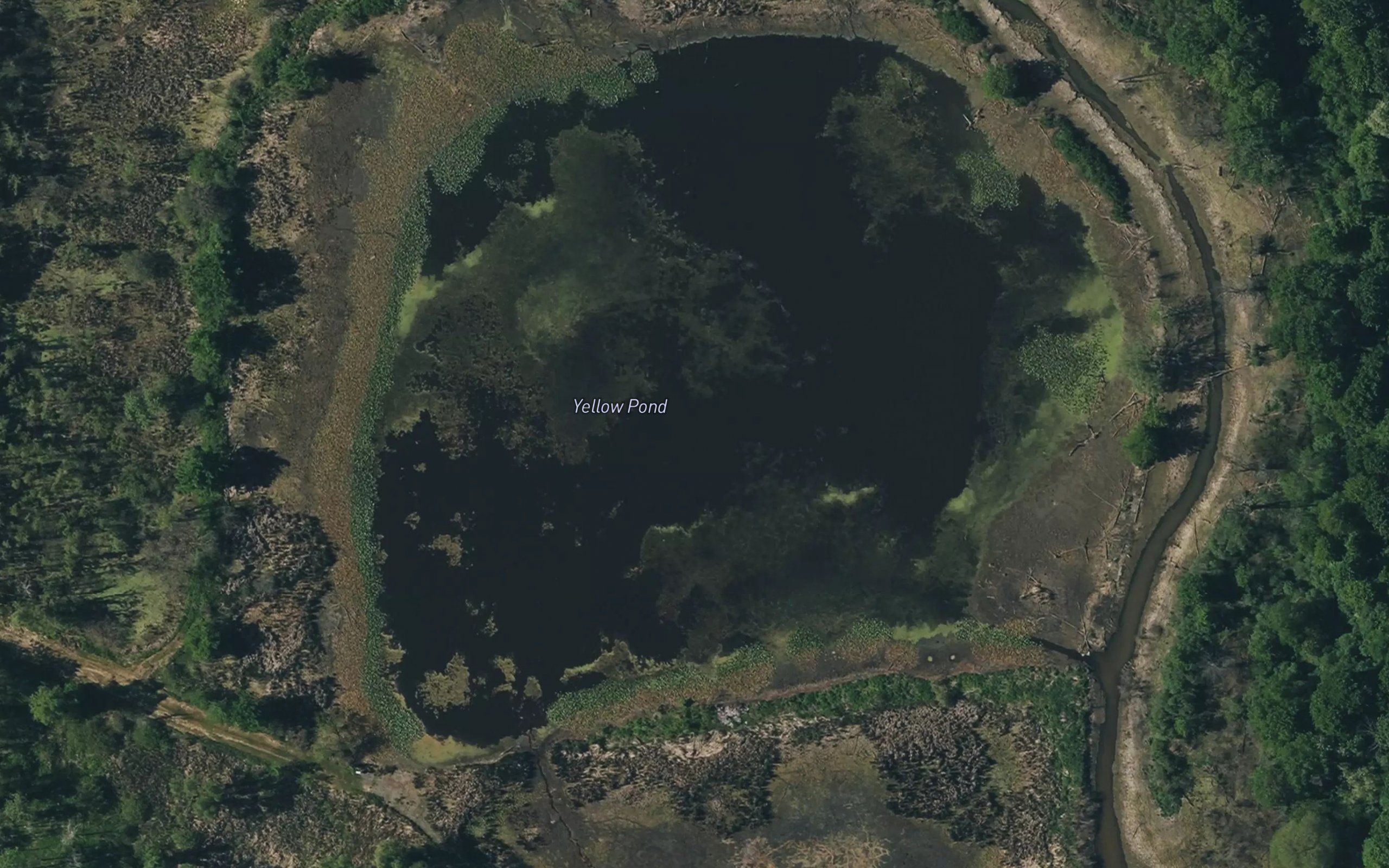 Yellow Pond