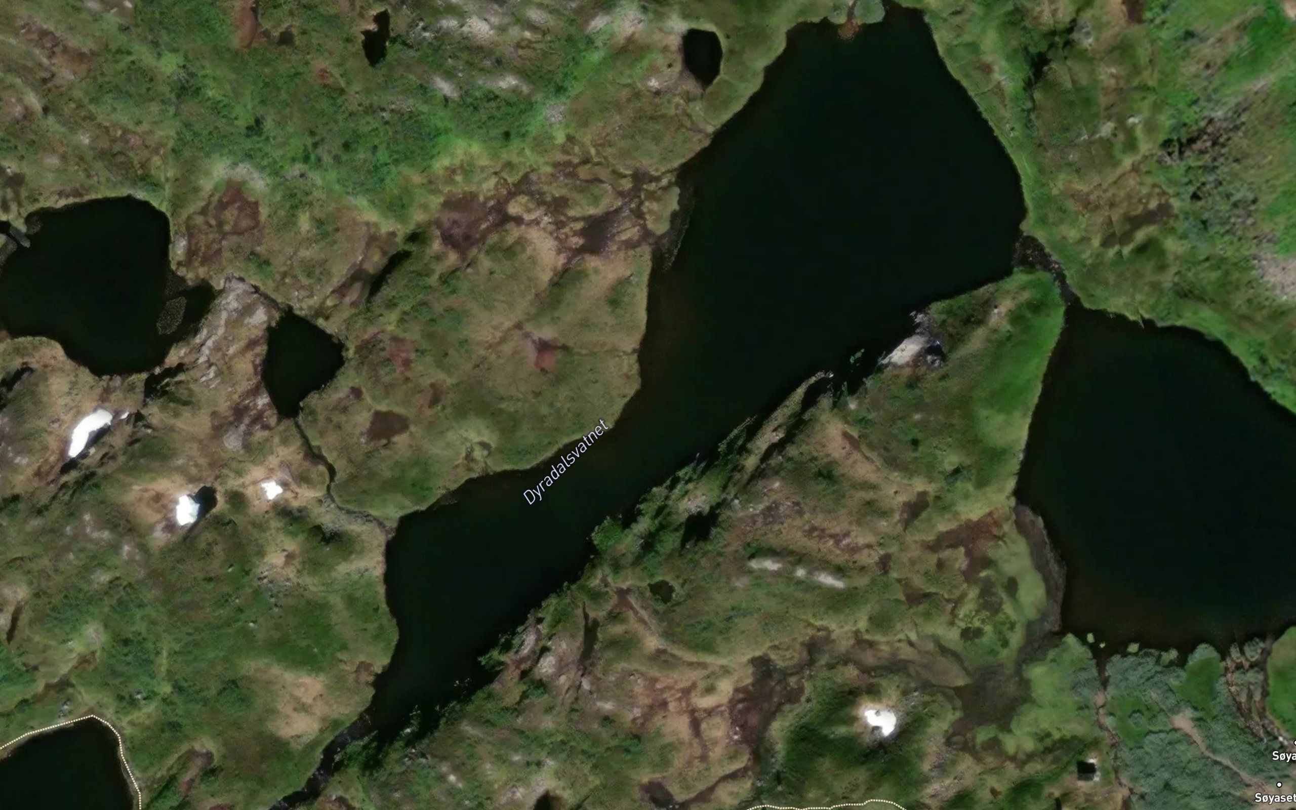 Dyradalsvatnet