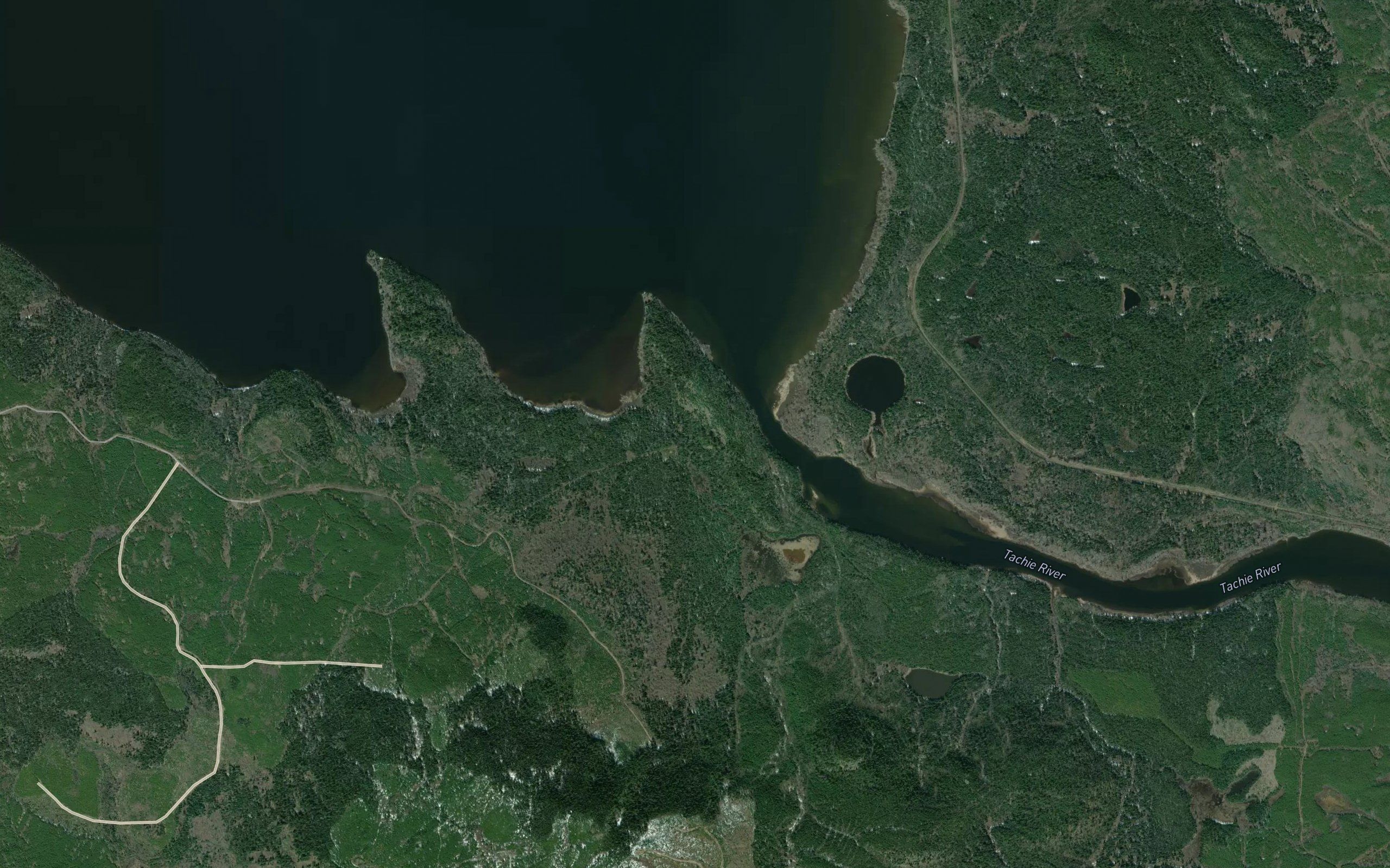 Tachie River