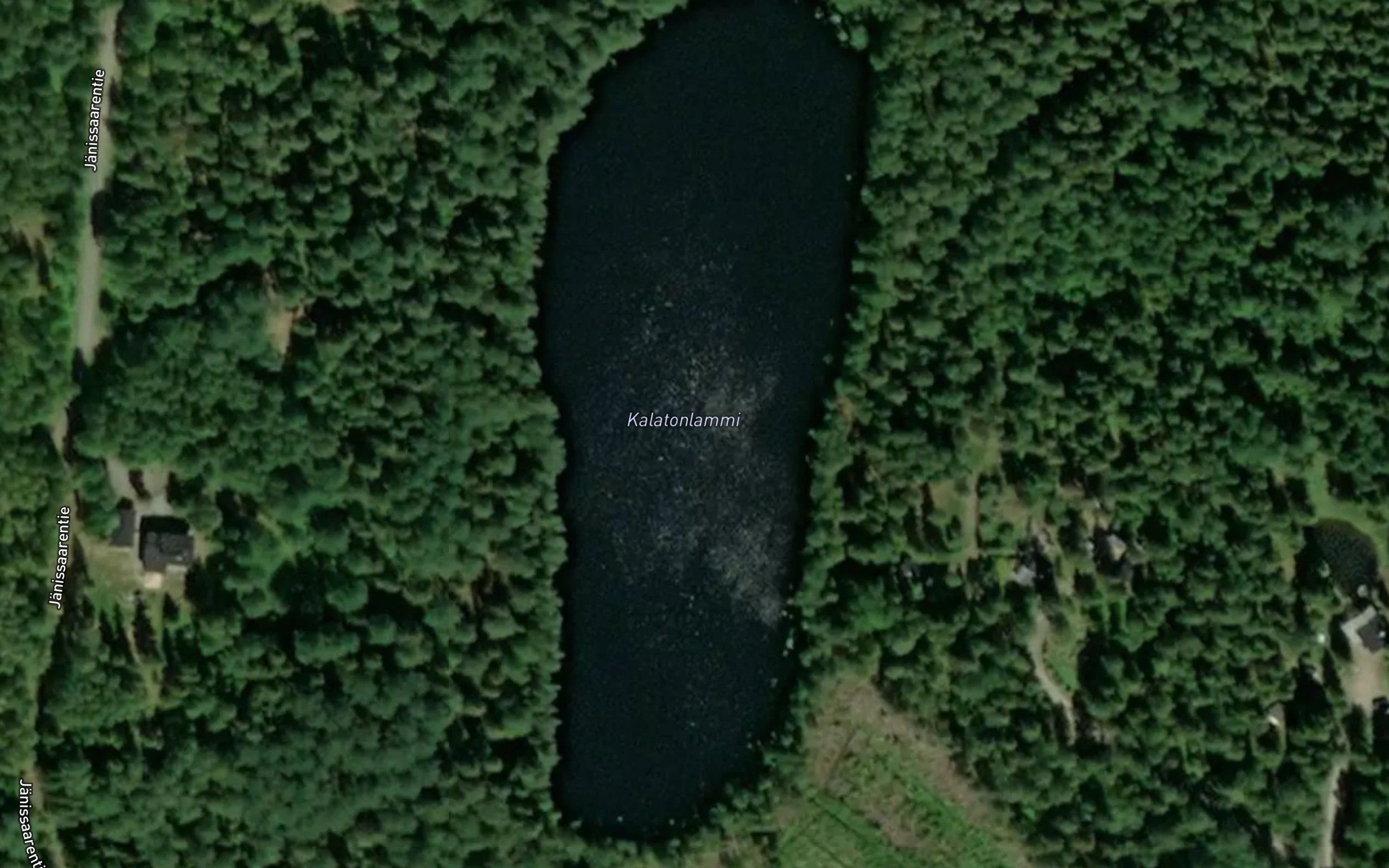 Kalatonlammi
