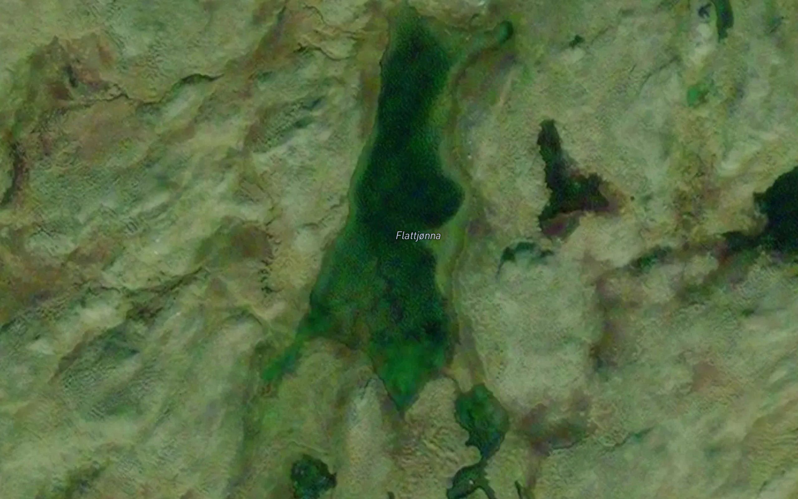 Flattjorna