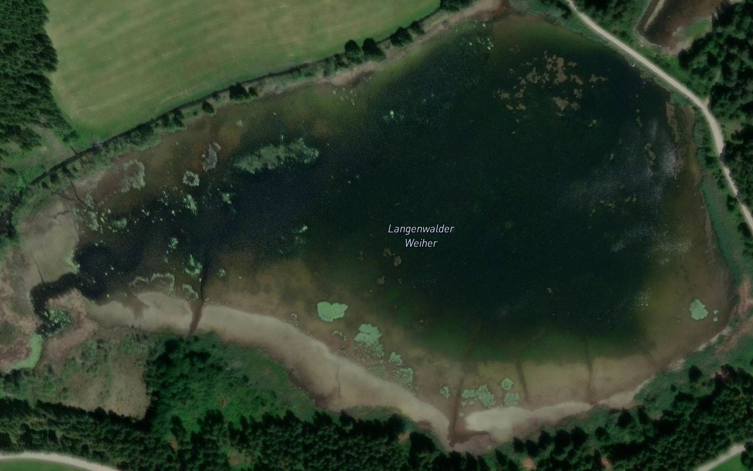 Langenwalder Weiher
