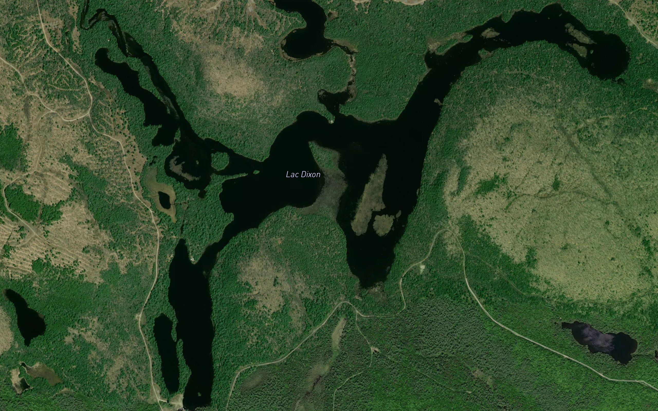 Lac Dixon