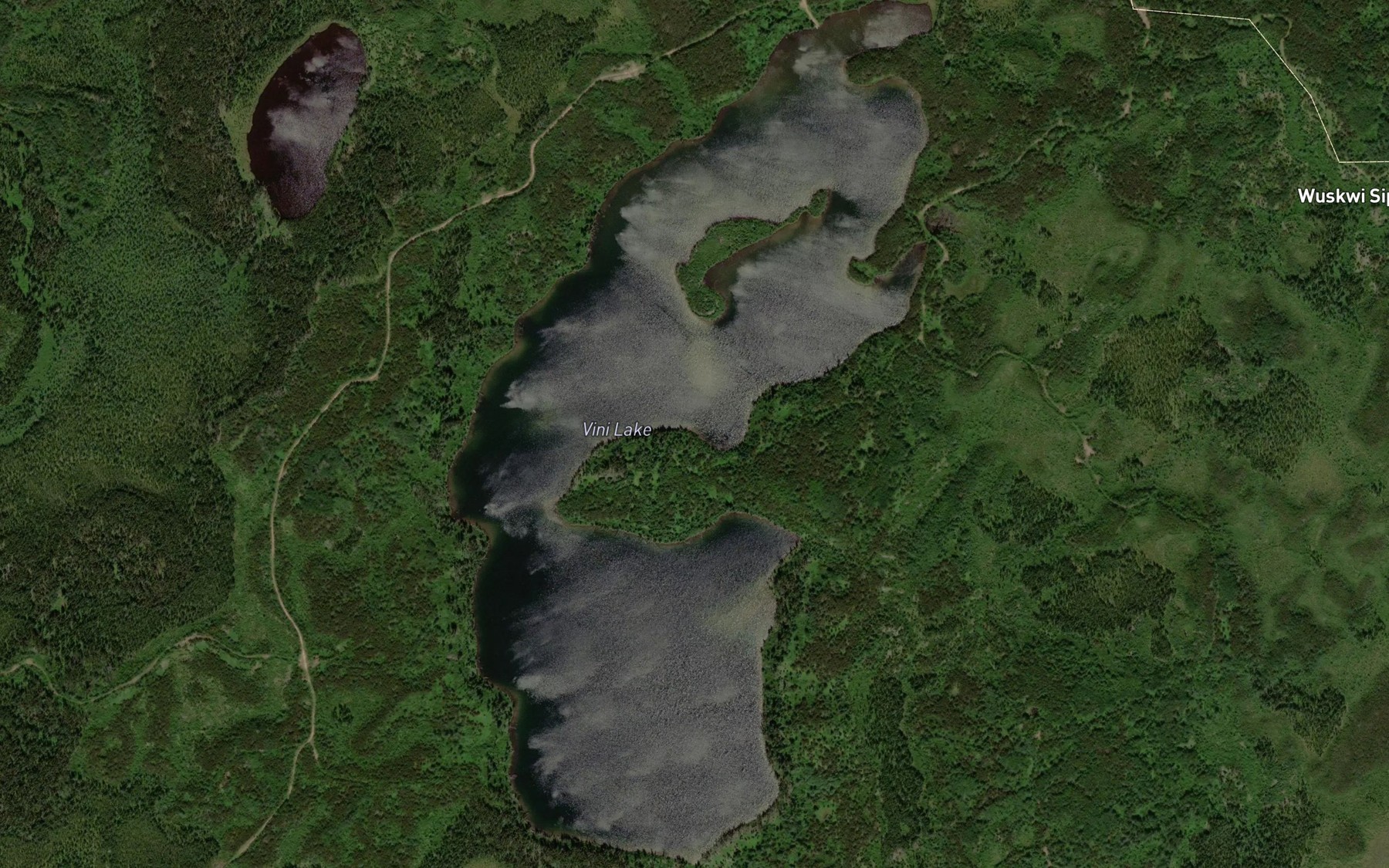 Satellite map of the Vini Lake