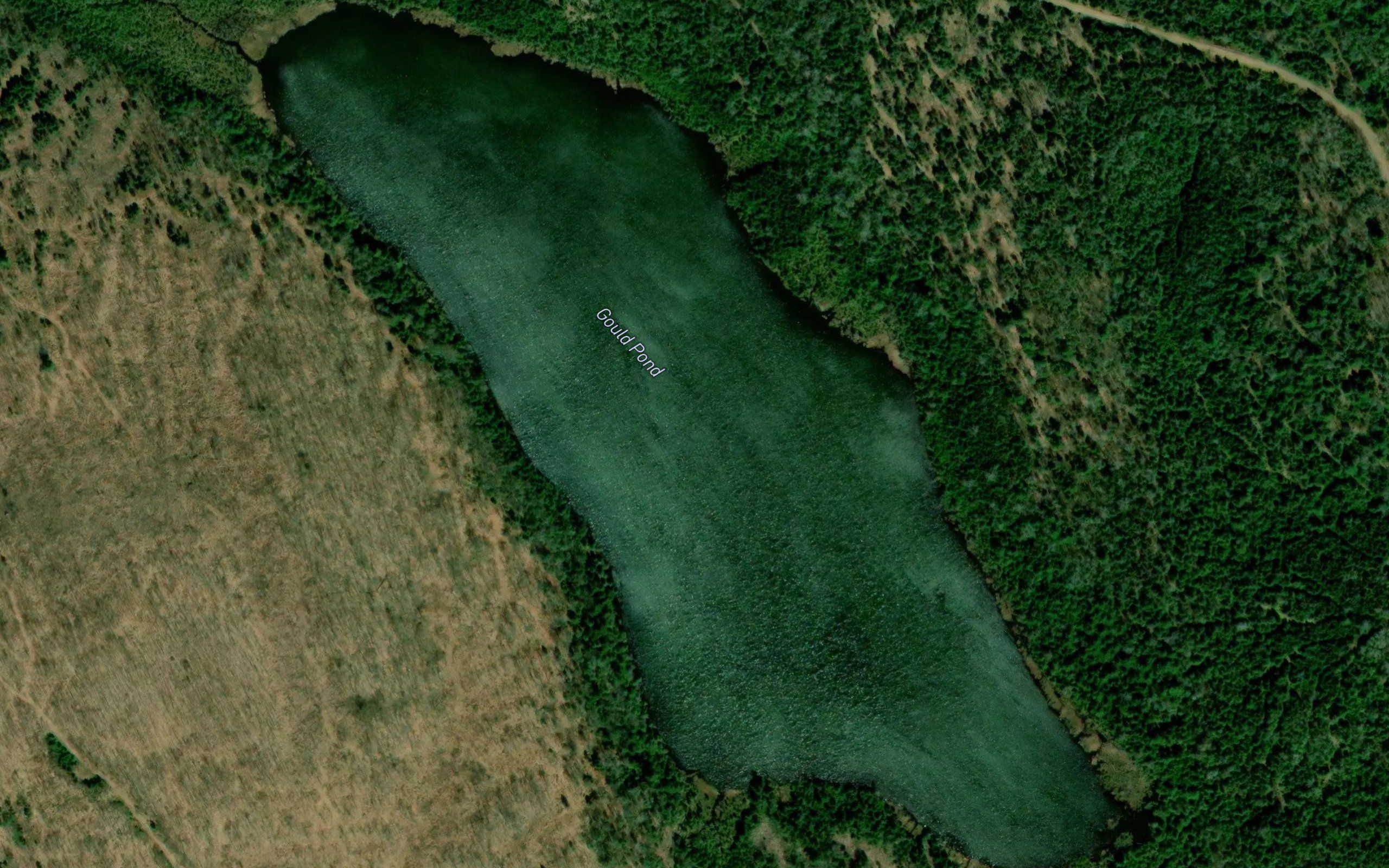 Gould Pond