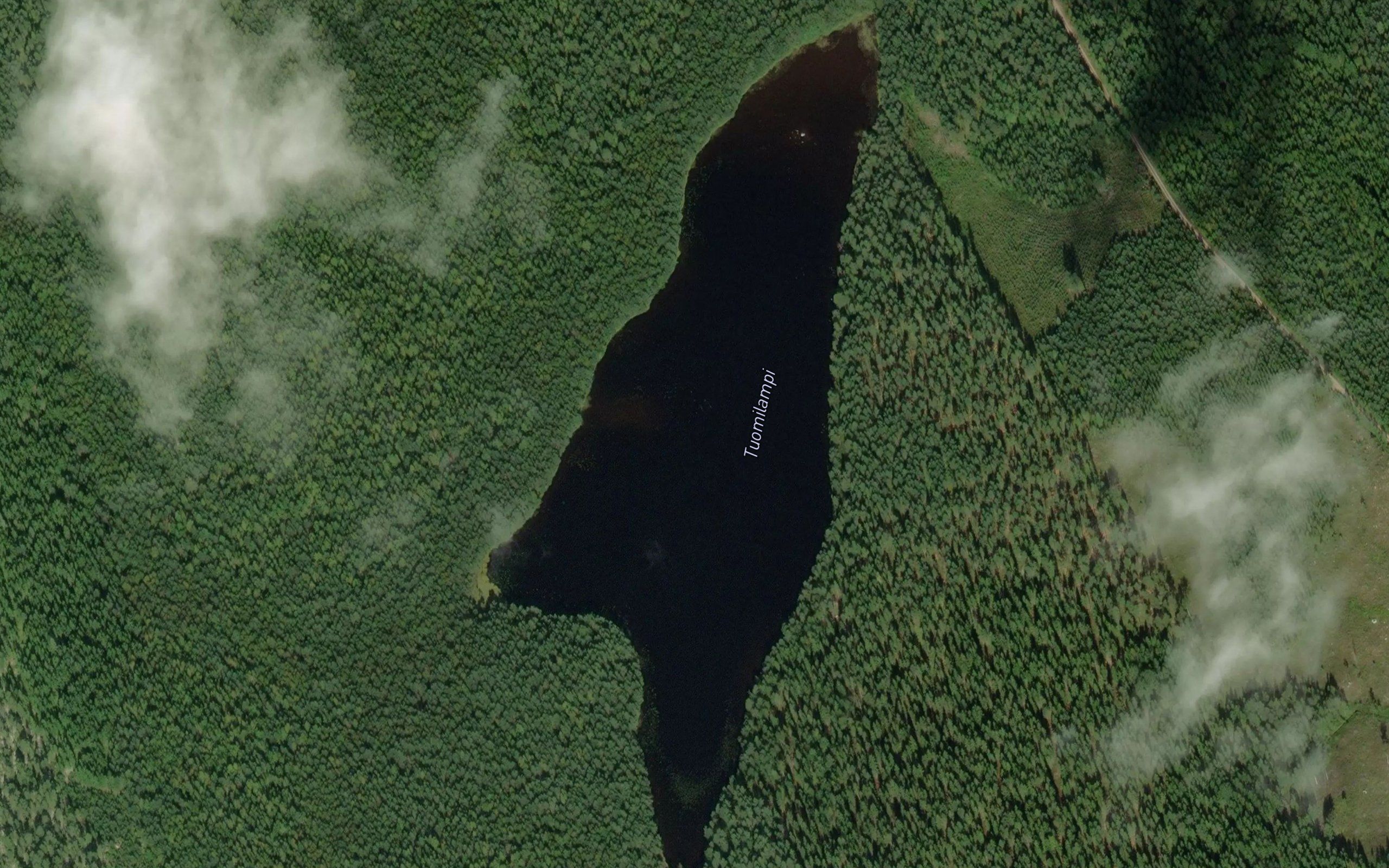 Tuomilampi