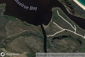 Great Mussel Roe River