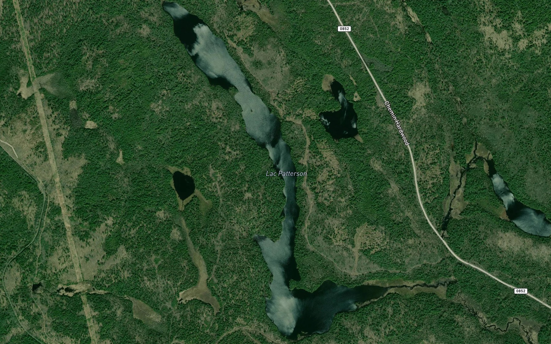 Satellite map of the Lac Patterson