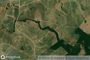 Canada Chaparrogacho