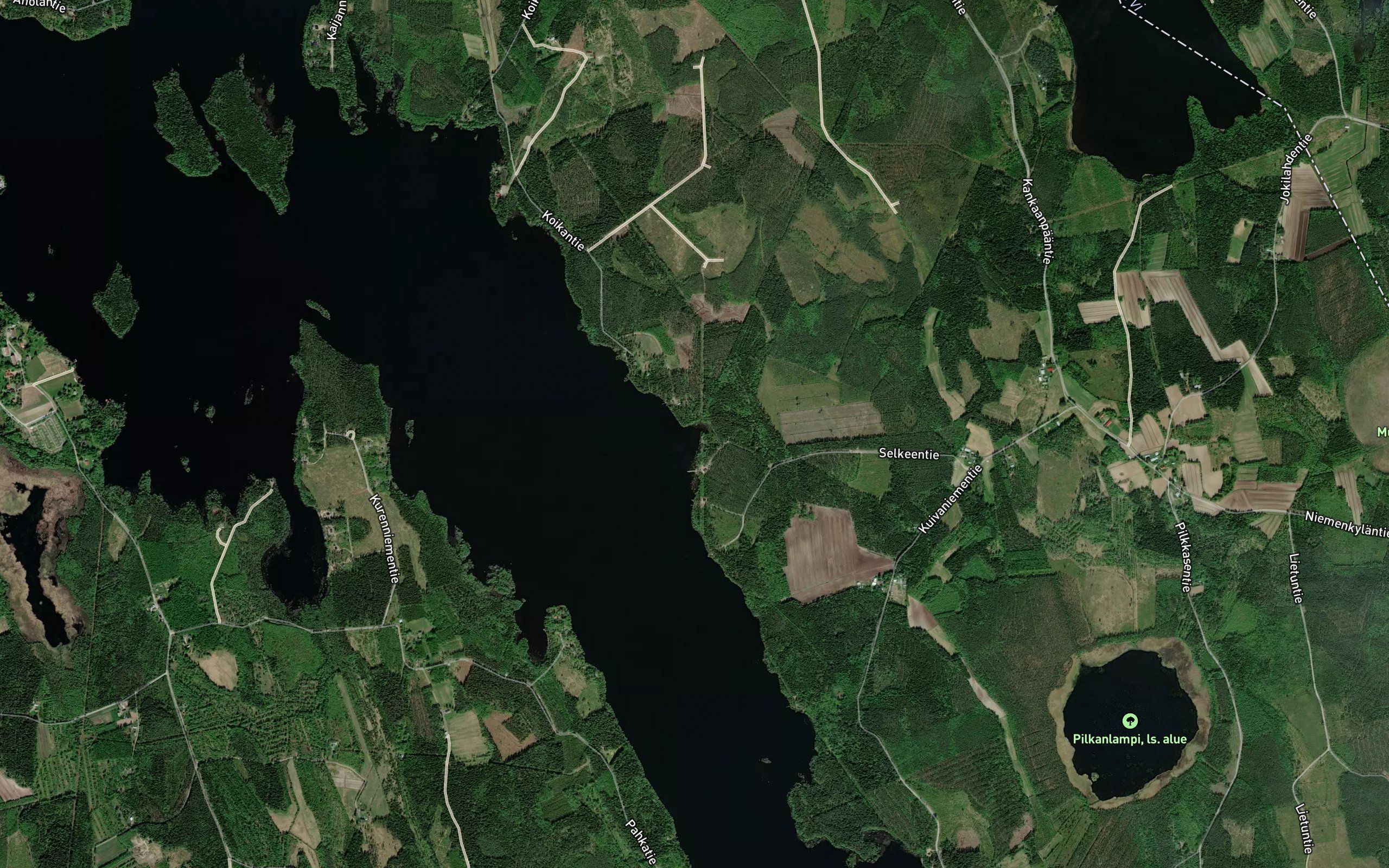 Loytananlahti